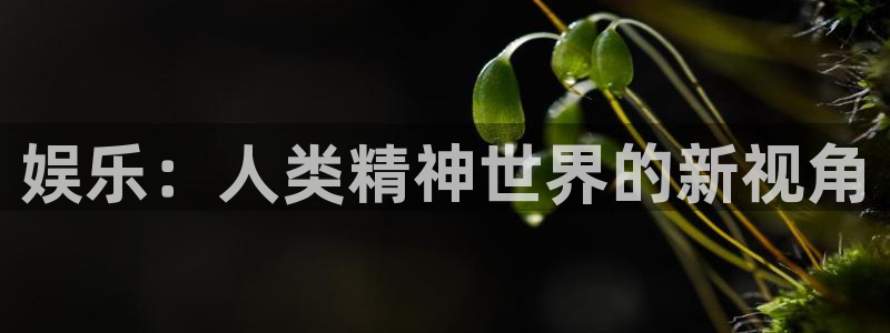 糖果派对电子：娱乐：人类精神世界的新视角