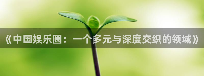 糖果派对一直输：《中国娱乐圈：一个多元与深度交织的领域》