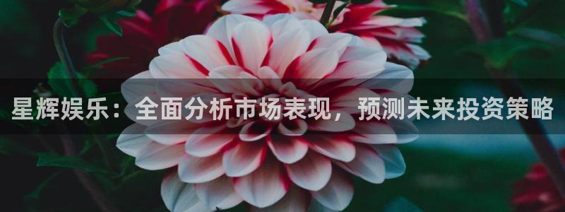 糖果派对视频爆分：星辉娱乐：全面分析市场表现，预测未来投资策略