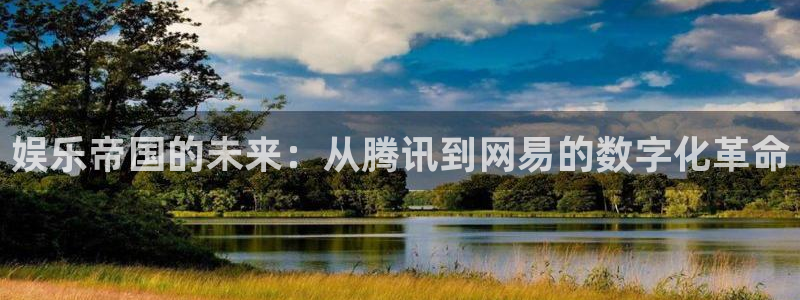 糖果派对1视频：娱乐帝国的未来：从腾讯到网易的数字化革命