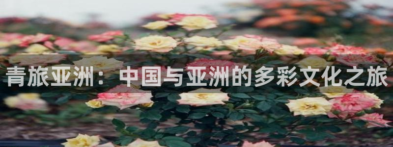 糖果派对哪个网站好：青旅亚洲：中国与亚洲的多彩文化之旅