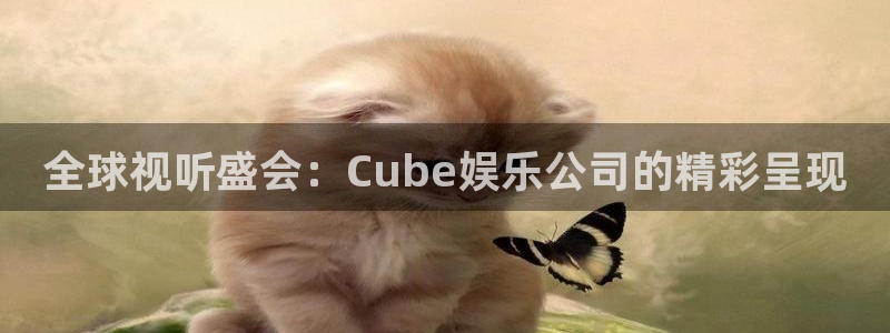 糖果派对电脑版网站：全球视听盛会：Cube娱乐公司的精彩呈现